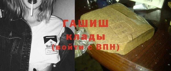 сатива Корсаков