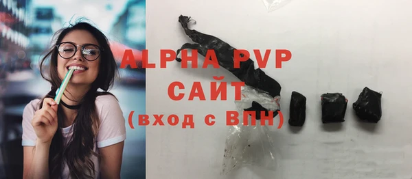 сатива Корсаков