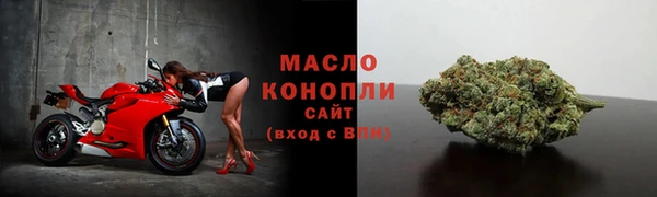 дмт Козловка