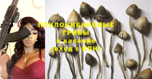 дмт Козловка