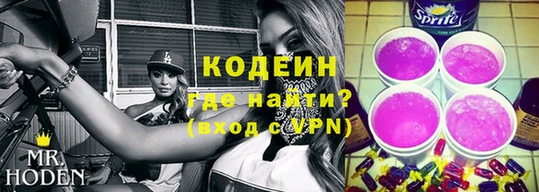 сатива Корсаков