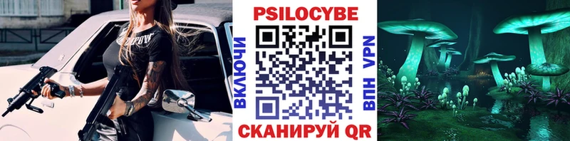 закладки  Луза  mega рабочий сайт  Псилоцибиновые грибы Psilocybine cubensis 